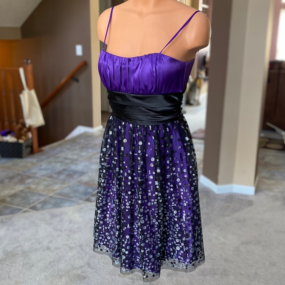 Purple/Black Ladies Party Dress